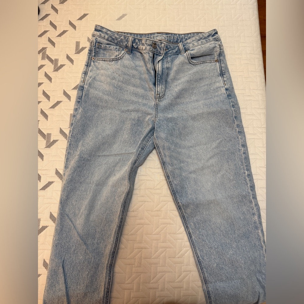 American Eagle Outfitters Strigid Mom Jeans